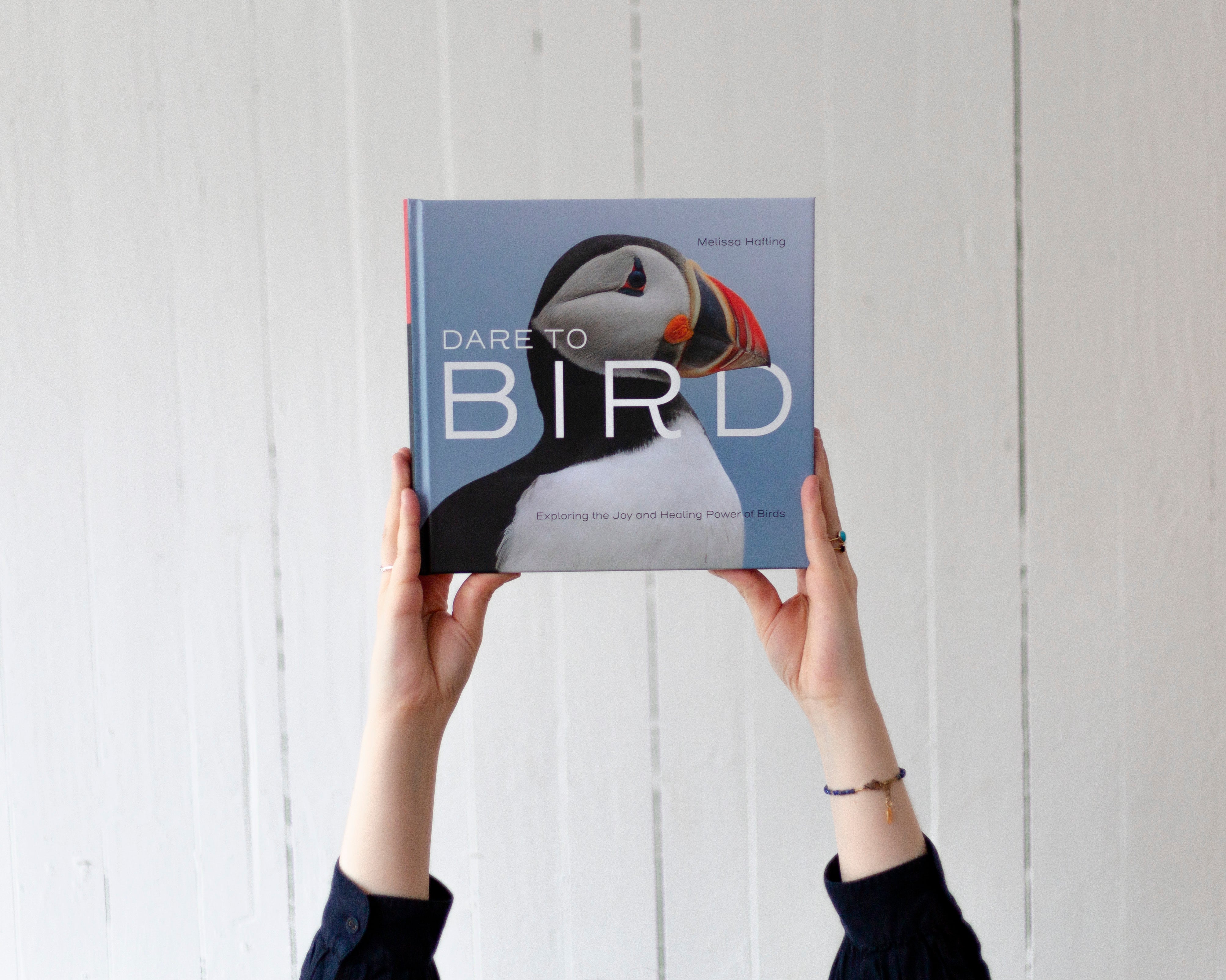 Dare to Bird – 2024 Media Roundup