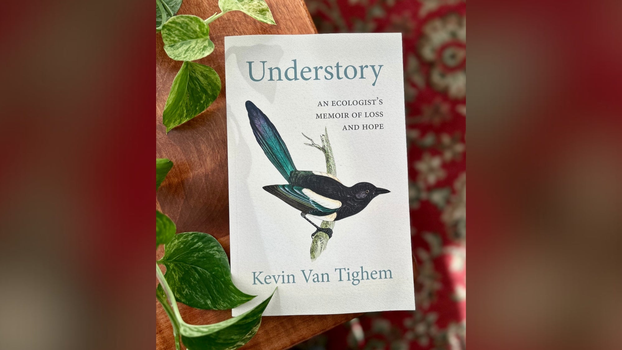 A photo of Kevin Van Tighem's latest book, Understory, on a wooden table. Some lush plants frame the left side of the book.