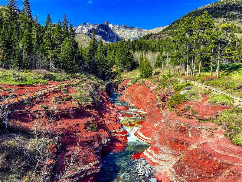 Popular Day Hikes: Waterton