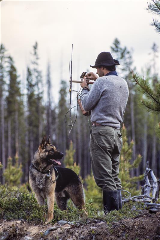 Grizzly Bear Science and the Art of a Wilderness Life