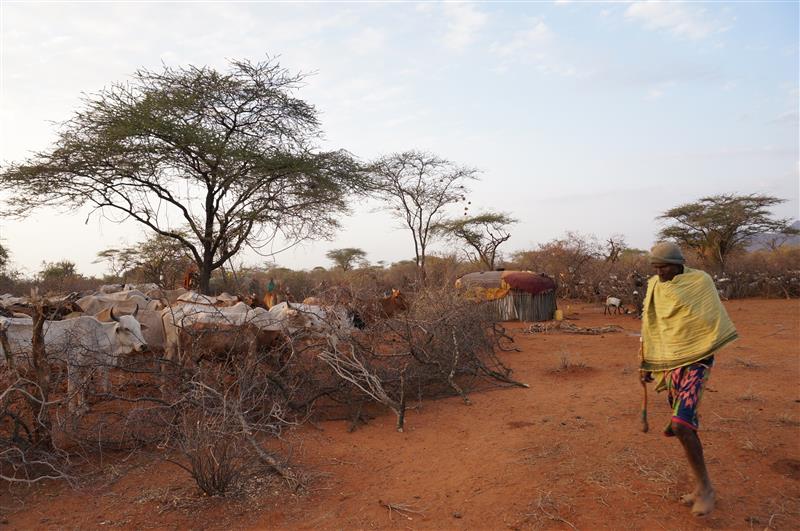 Tracking Lions, Myth, and Wilderness in Samburu