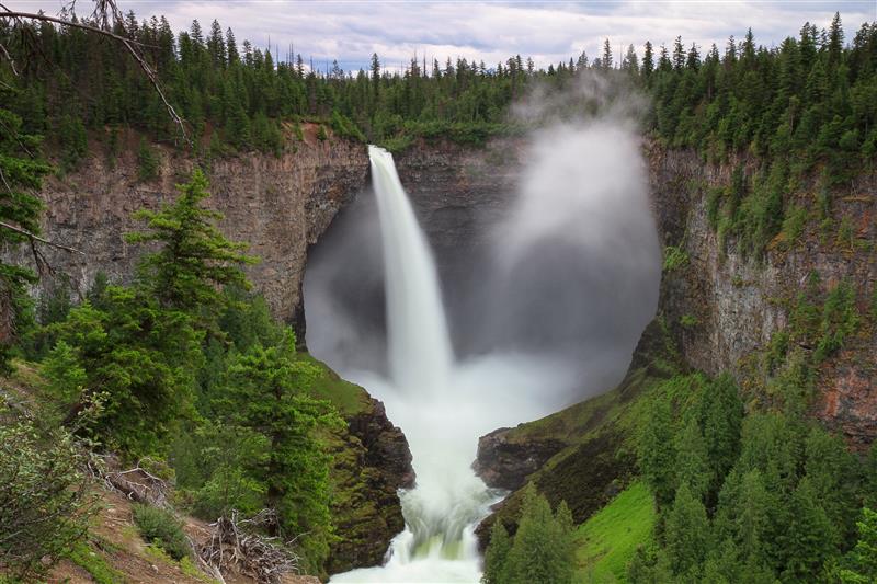 Wildlife Weekends in Southern British Columbia