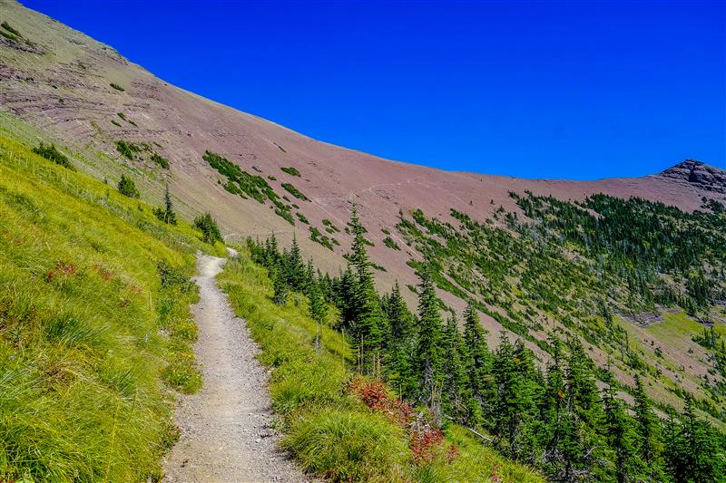 Popular Day Hikes: Waterton