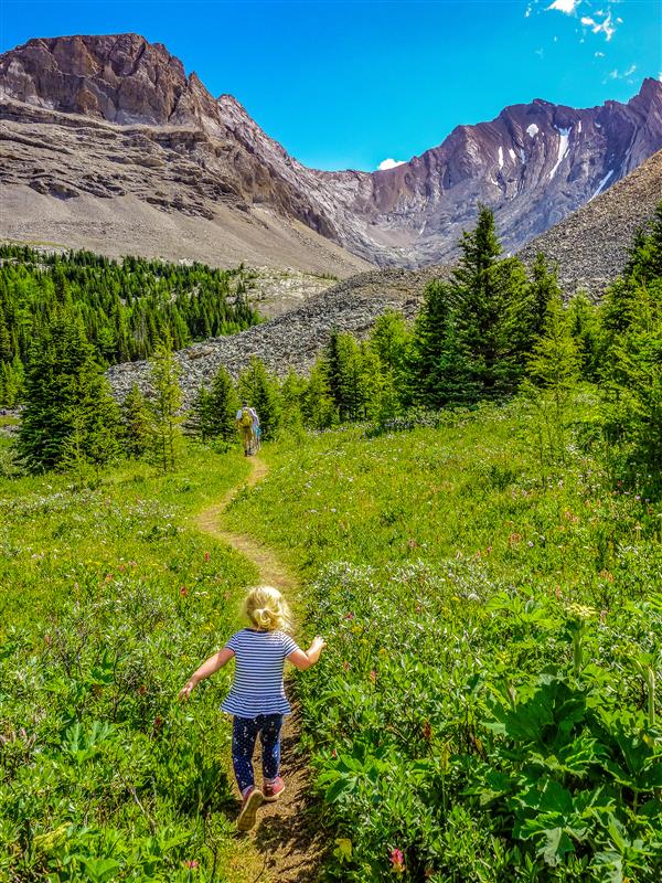 Family Walks &amp; Hikes Canadian Rockies: 2nd Edition, Volume 1