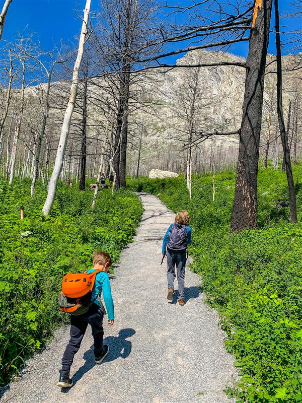 Popular Day Hikes: Waterton