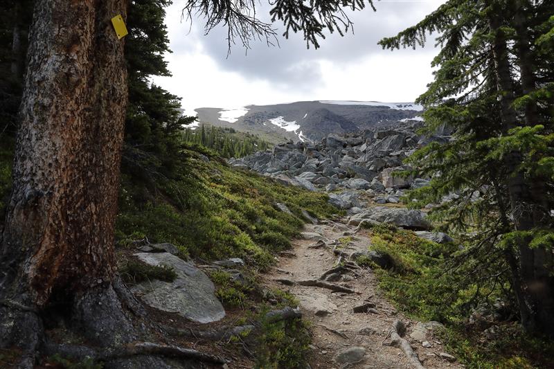 Popular Day Hikes: Jasper