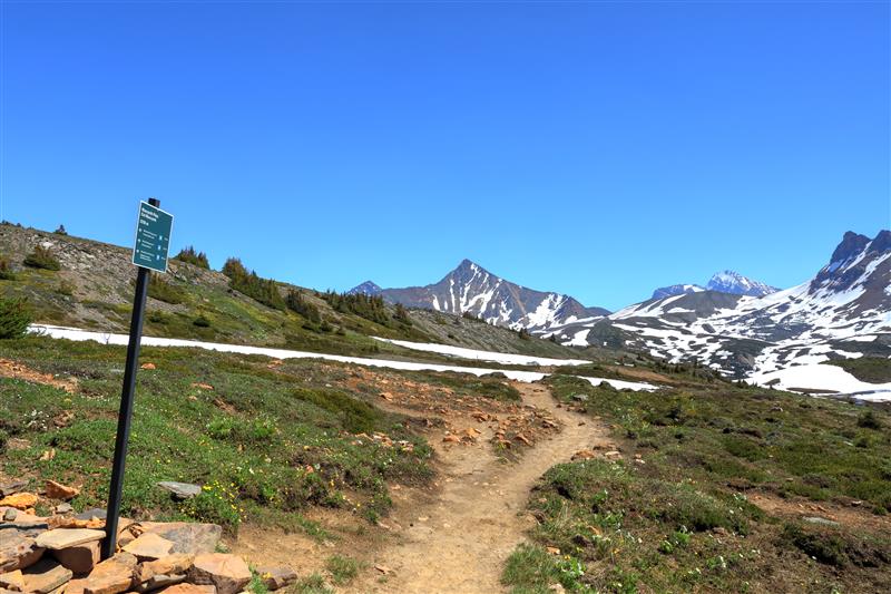 Popular Day Hikes: Jasper