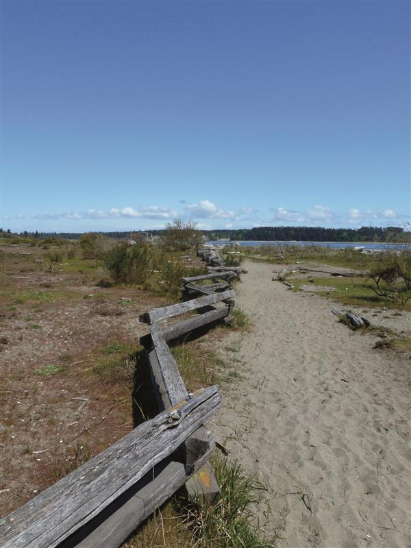 Seaside Walks on Vancouver Island – Revised Edition