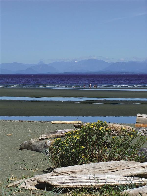 Seaside Walks on Vancouver Island – Revised Edition