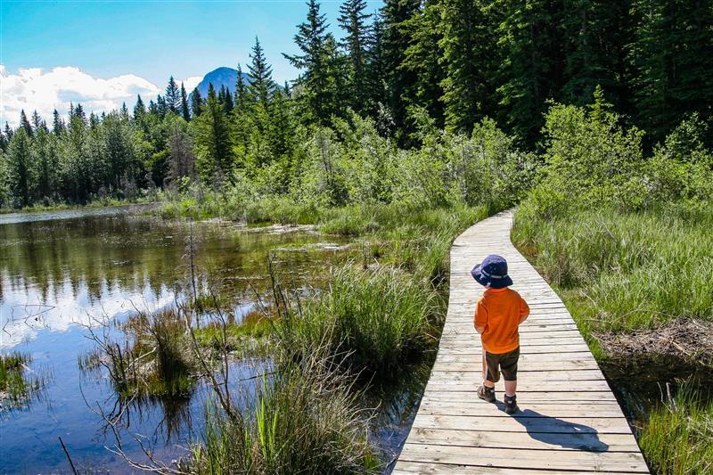 Family Walks &amp; Hikes Canadian Rockies: 2nd Edition, Volume 1