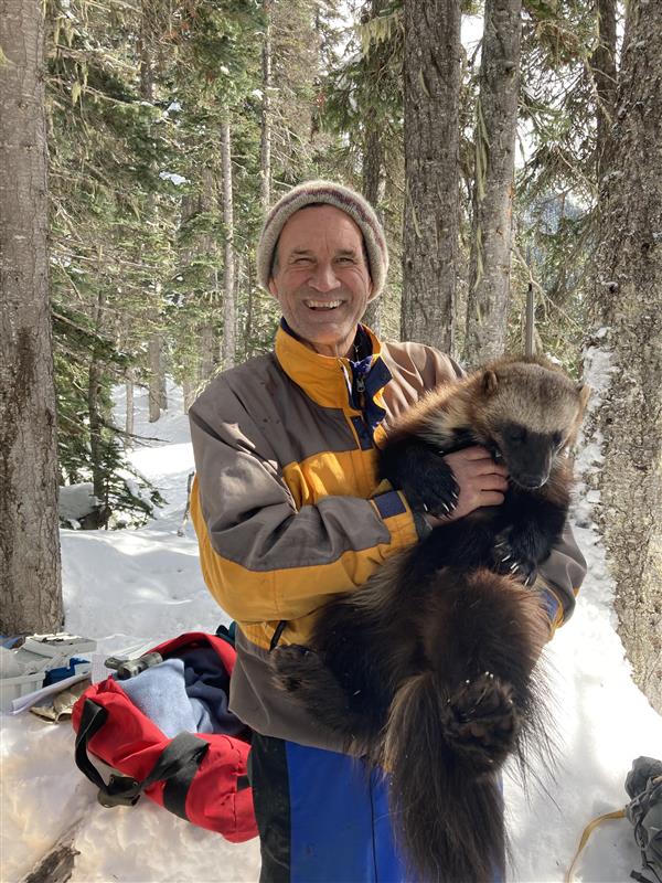 Grizzly Bear Science and the Art of a Wilderness Life