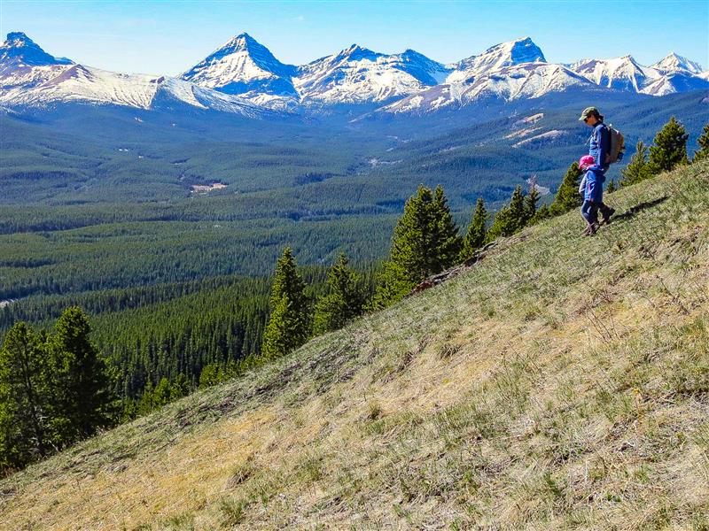 Family Walks &amp; Hikes Canadian Rockies: 2nd Edition, Volume 1