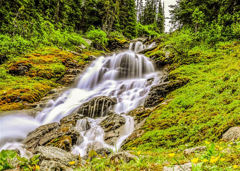 Family Walks &amp; Hikes Canadian Rockies: 2nd Edition, Volume 1