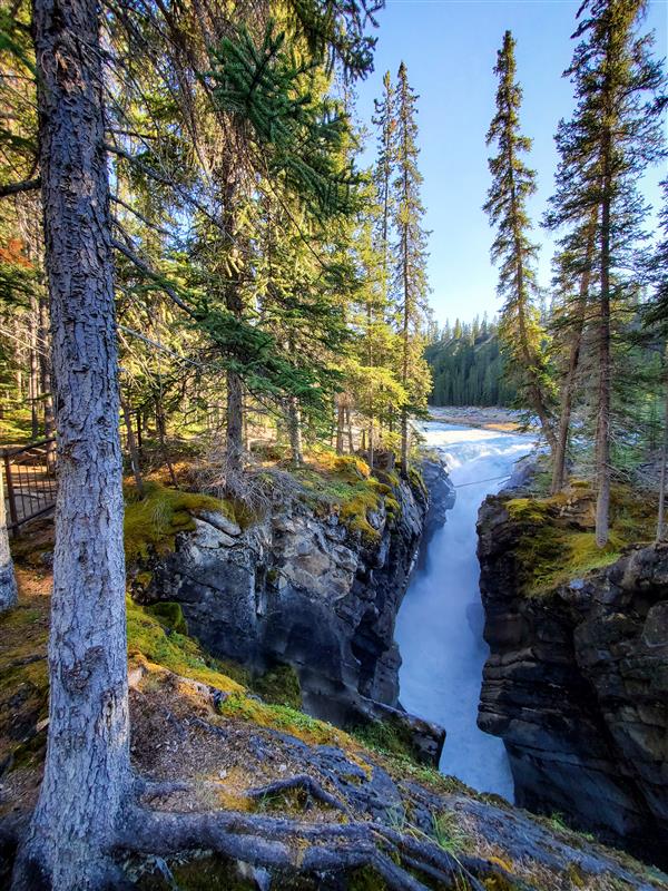 Waterfall Hikes in the Canadian Rockies – Volume 2