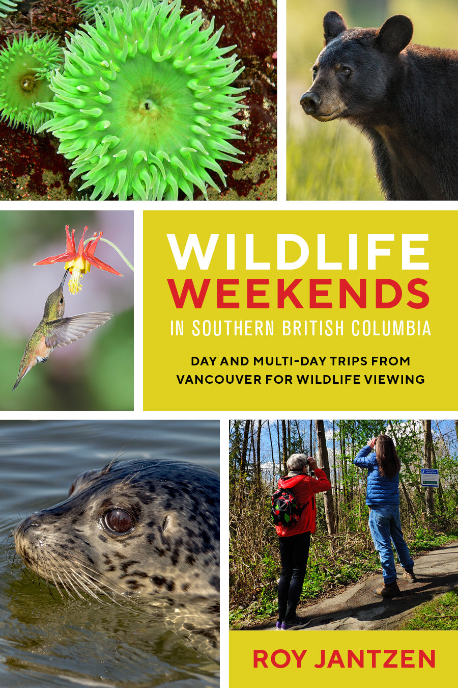 Wildlife Weekends in Southern British Columbia