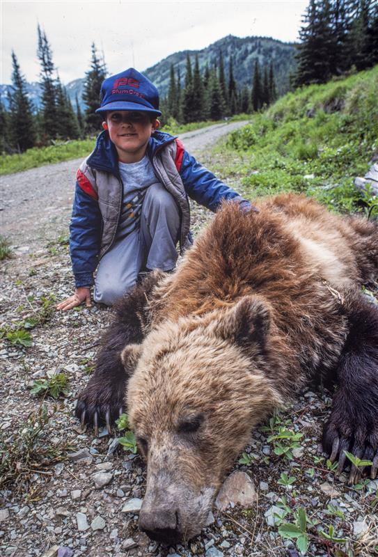 Grizzly Bear Science and the Art of a Wilderness Life