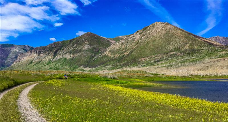 Popular Day Hikes: Waterton