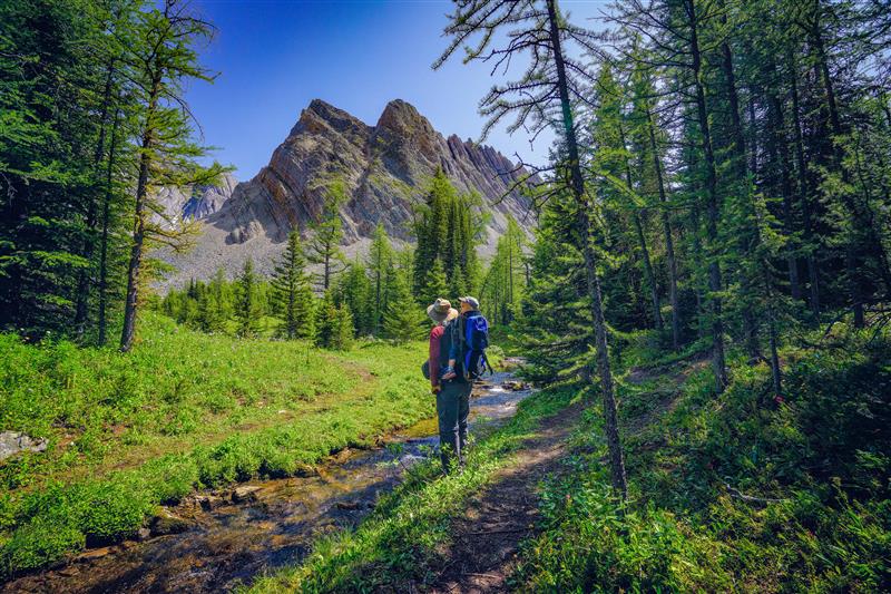 Family Walks &amp; Hikes Canadian Rockies: 2nd Edition, Volume 1